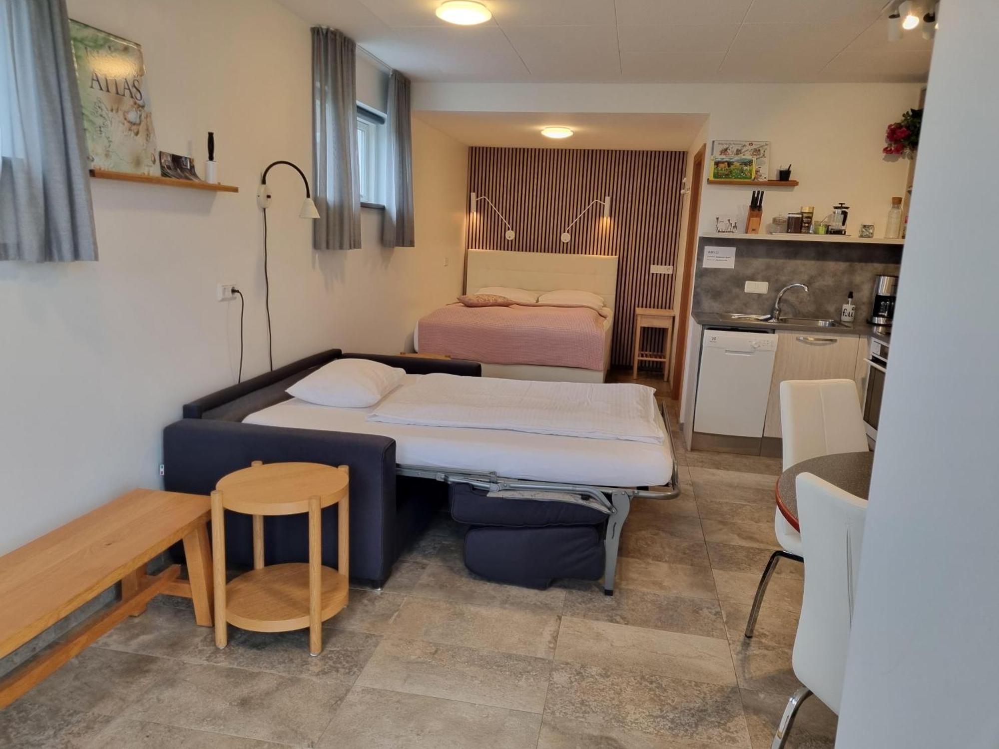 Skipalaekur Farm Apartment